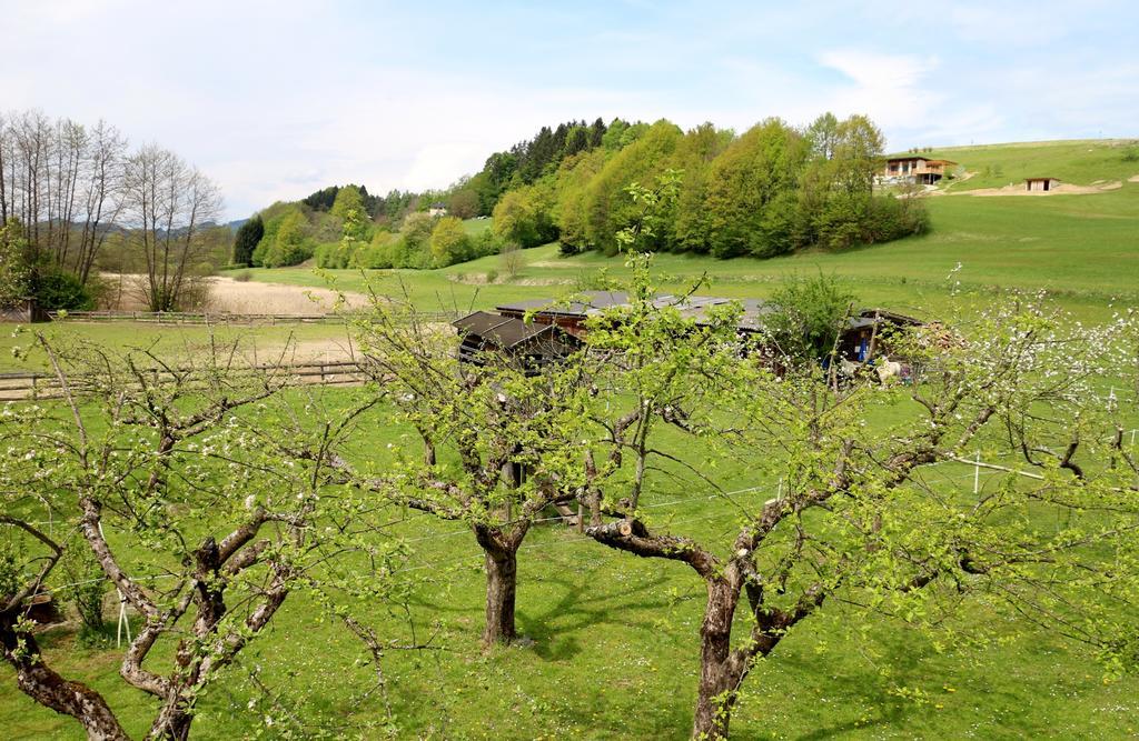 Familienparadies Reichenhauser Keutschach am See Bagian luar foto